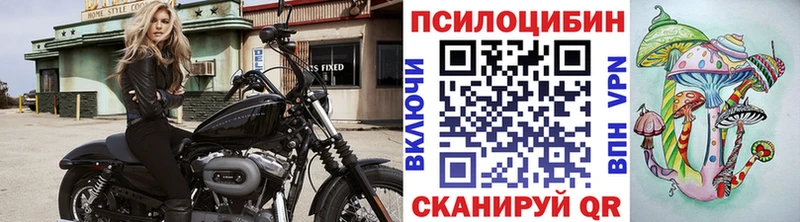 ОМГ ОМГ зеркало  Чайковский  Псилоцибиновые грибы прущие грибы 