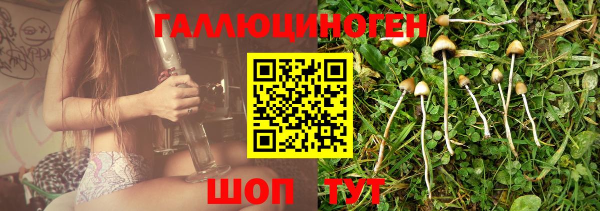 Чайковский  Псилоцибиновые грибы ЛСД  Вход с VPN 