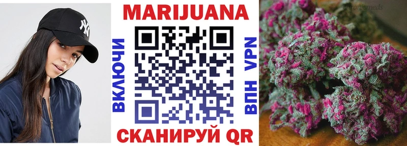 где купить   Чайковский  Канабис Bruce Banner 